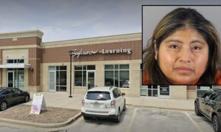 Wisconsin Mother Pleads Guilty after Forcing 12-Year-Old Son to Walk Along Busy Interstate