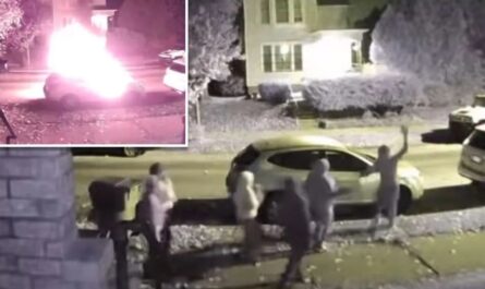 Wisconsin Teens Caught on Doorbell Camera Setting Car Ablaze in Middle of Night