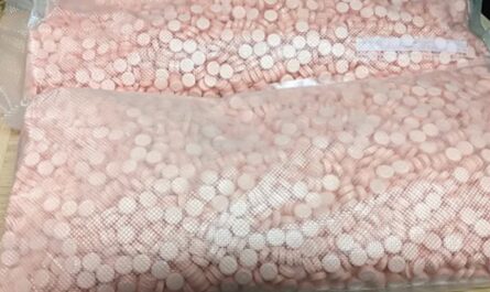 74-Year-Old Austin Woman Sentenced for Mailing Fentanyl in “Side Hustle” to Cover Medications