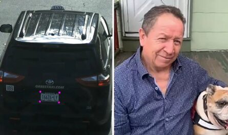 Connecticut Taxi Driver Found Dead in New York; Homicide Confirmed and Suspect on Large