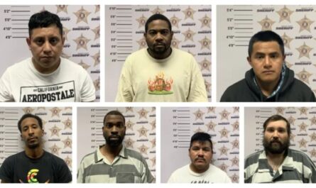 Decatur Police Arrest Seven Men in Online Child Exploitation and Human Trafficking Operation (1)