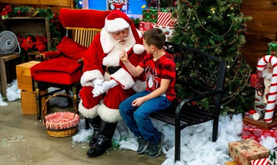 Douglas County Christmas Craft Fair 2025: Dates, Tickets, Venue, and Full Event Guide