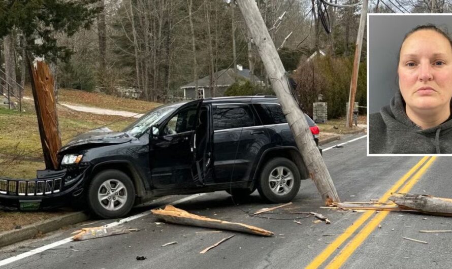 Driver with Extensive Criminal Record Arrested after Killing Grammy-nominated Musician in Hopkinton