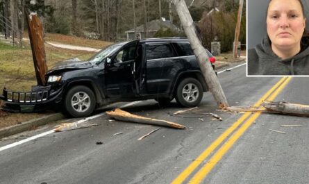 Grammy-Nominated Rhode Island Musician Killed After Being Hit by Driver With Long Criminal History, Police Say