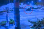 Inglewood Family Demands Justice After Father of Three Is Killed in Early-Morning Hit-and-Run Crash