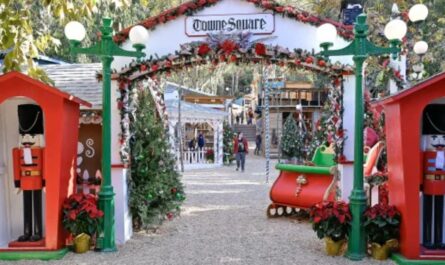 Laguna Beach Winter Fantasy Festival 2025 Dates, Timings, and Event Guide