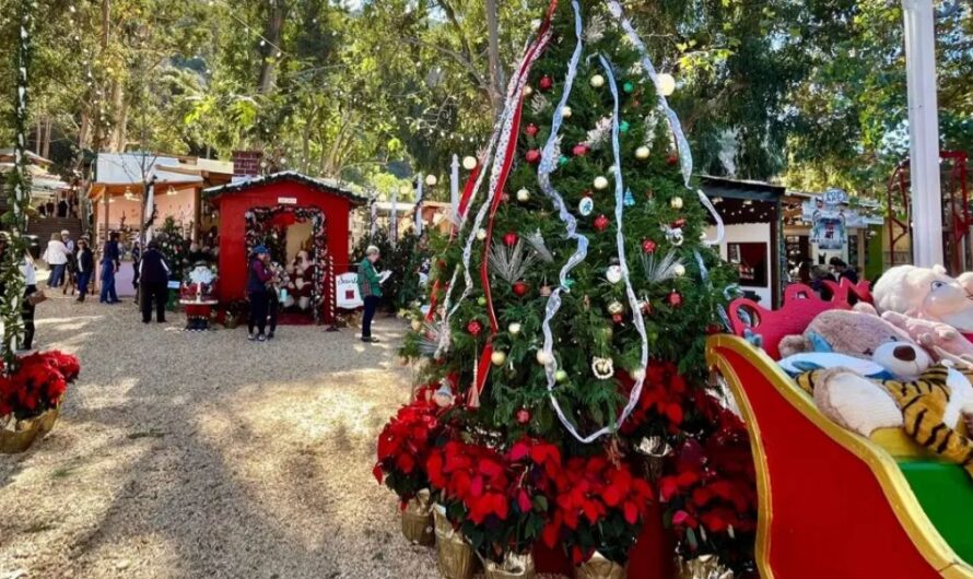 Laguna Beach Winter Fantasy Festival 2025: Weekend Schedule, Artists, Activities, Food, Rides and Entertainment