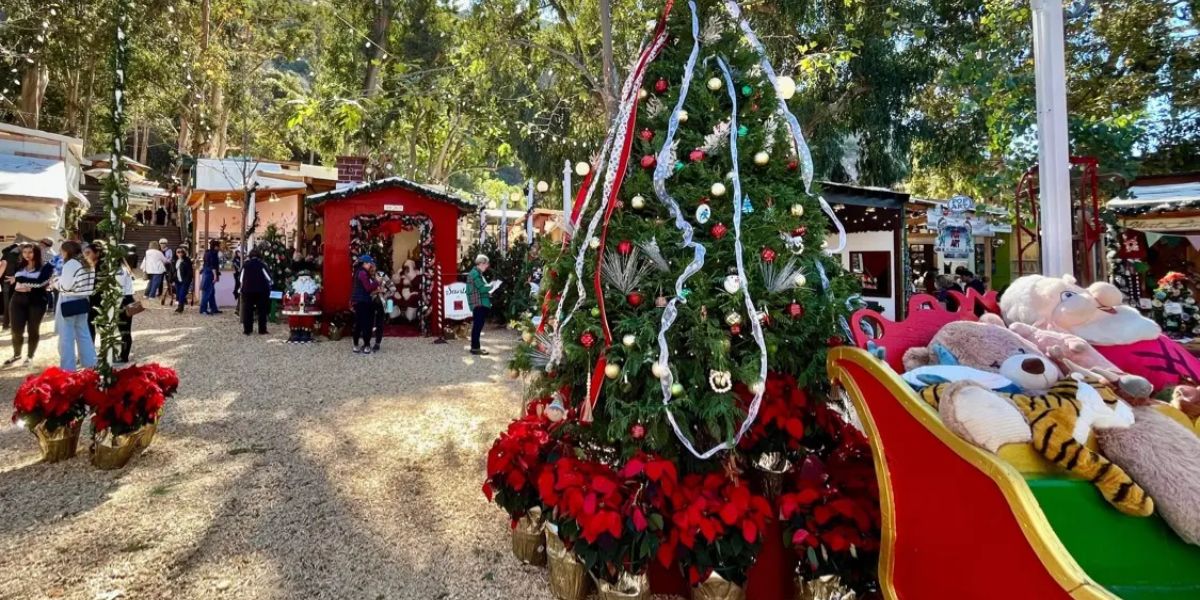 Laguna Beach Winter Fantasy Festival 2025 Weekend Schedule, Artists, Activities, Food, Rides and Entertainment (1)