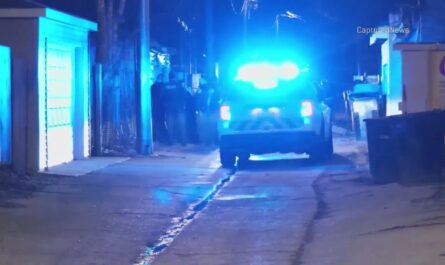 Man Found Shot to Death in North Lawndale Alley Early Wednesday, Chicago Police Say