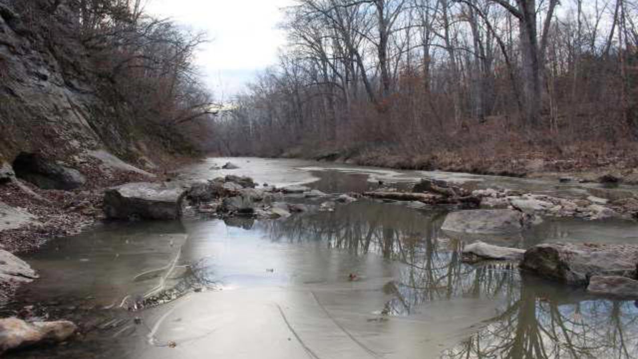 Missouri Drone Operator Captures Rare Mountain Lion During Deer Survey in Saline County