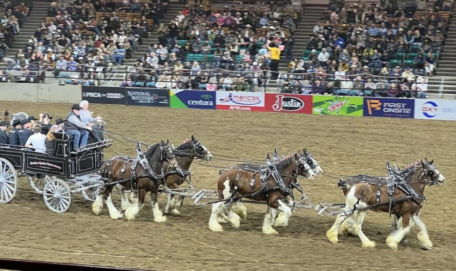 National Western Stock Show Returns to Denver as Crowds Prepare for “One of the Nation’s Premier Agricultural Events”