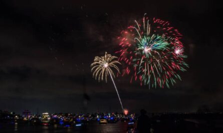 New Year’s Eve Fireworks Anaheim (2025) Full list of Places with Timings