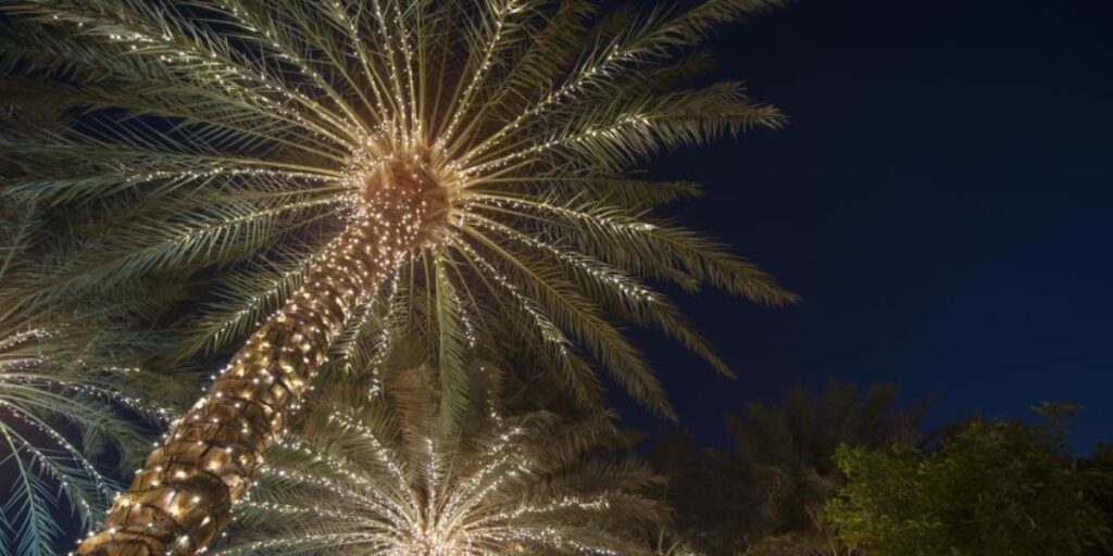 New Year’s Eve Fireworks Bakersfield (2025) Full List of Places With Timings (1)