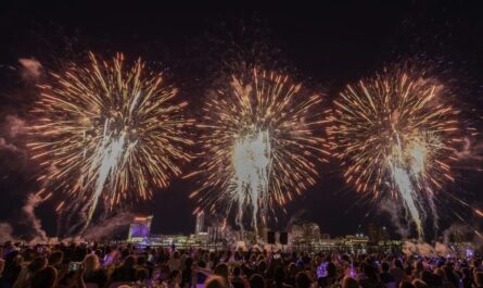 New Year’s Eve Fireworks Illinois (2025) Full List of Places with Timings