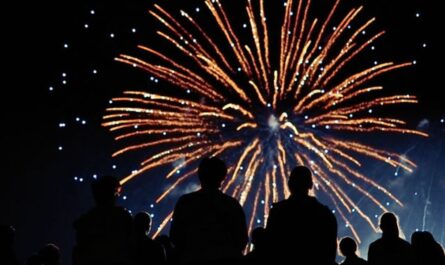 New Year’s Eve Fireworks Missouri (2025) Full List of Places with Timings
