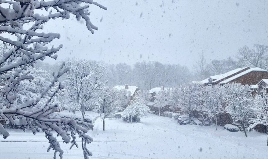 Northeast and Mid-Atlantic Brace for Second Winter Storm Days after Heavy Snowfall Disruptions