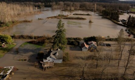 Relentless Atmospheric Rivers Trigger Record Flooding and Emergency Evacuations Across Washington and Oregon