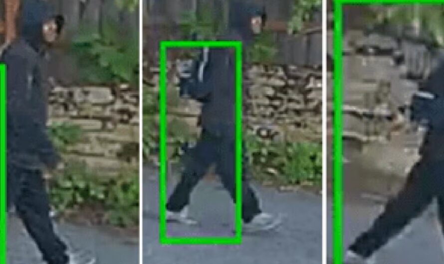 Seattle Community on Edge after Brutal Attack on 88-Year-Old Woman Whose Finger was Bitten Off During Daylight Assault