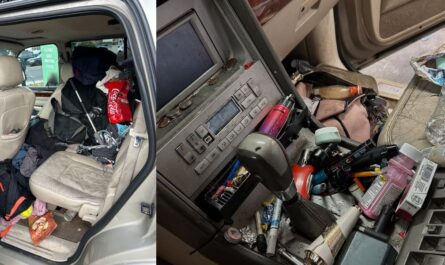 Three Adults Arrested in Vancouver after Children and Dogs Found Living in Trash-Filled, Drug-Laden Car