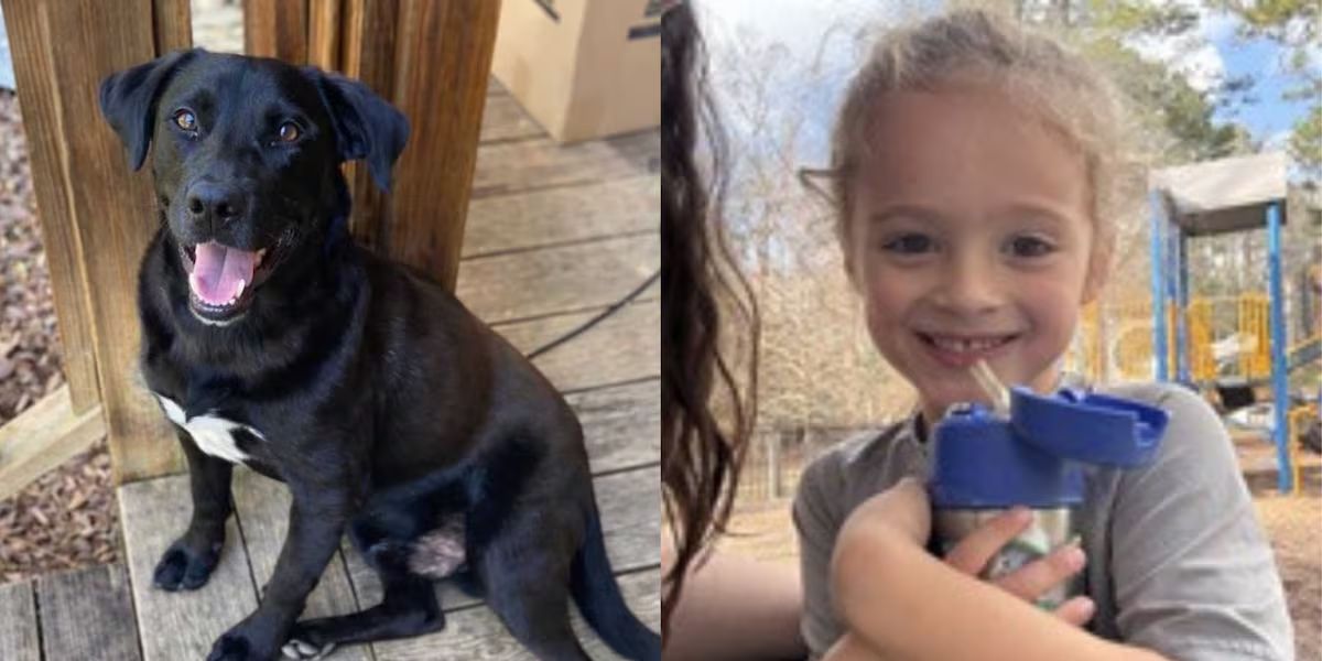 4-Year-Old Florida Boy Found Dead in Alabama after New Year’s Eve Disappearance