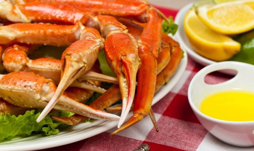 Babcock Ranch Reggae Festival 2026: Live Music, Island Cuisine, and Family-Friendly Fun