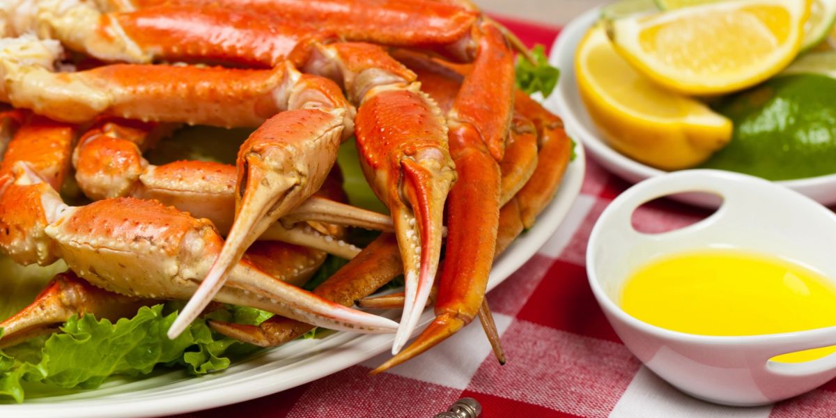 Babcock Ranch Reggae Festival 2026 Live Music, Island Cuisine, and Family-Friendly Fun (2)