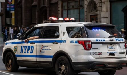 Bronx Charter School Targeted in Late-Night Electronics Heist, $14,000 Stolen