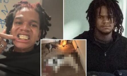 Bronx Rapper Indicted on Animal Cruelty Charges After Allegedly Torturing Cat for Social Media Stunt