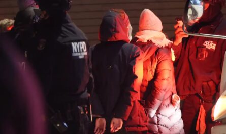Dozens of Anti-ICE Protesters Arrested at Manhattan Hotel After Lobby Sit-In