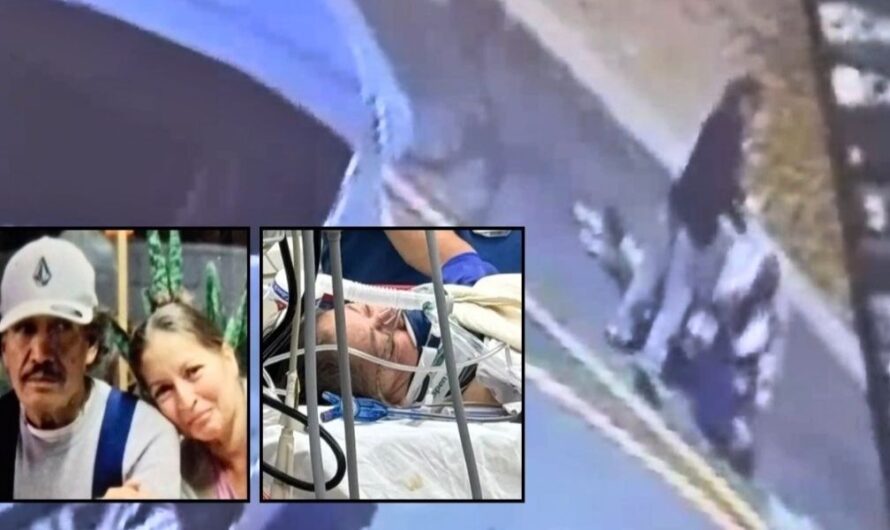 Employees Allegedly Ignored Fatal Drive-Thru Attack, Family Sues McDonald’s