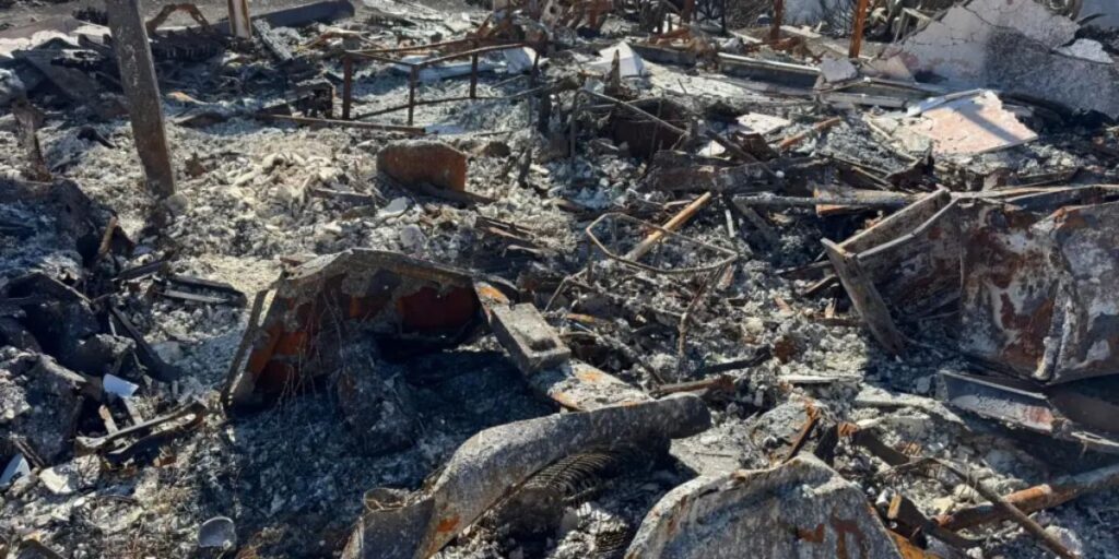 Families File Wrongful Death Lawsuits One Year After Palisades Fire, Alleging Government Failure (1)