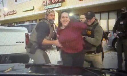 Florida Anti-ICE Protester Arrested after Allegedly Punching State Trooper, DeSantis Issues Warning