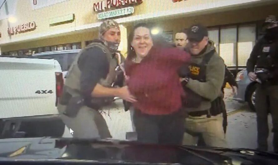 Florida Anti-ICE Protester Arrested after Allegedly Punching State Trooper, DeSantis Issues Warning