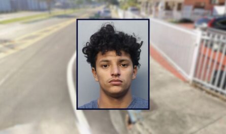 Florida Teen Arrested After Allegedly Stabbing Friend Multiple Times During Argument Over Spilled Beer