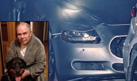 Holocaust Survivor Killed in California Hit-and-Run on Remembrance Day; Maserati Driver Sought