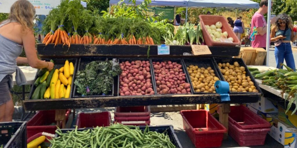 King Street Saturday Farmers Market 2026 Full Schedule, Admission Info, Local Produce, Crafts, and Family Activities (1)