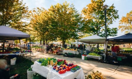 Marco Island Winter Farmers Market 2026 Event Date, Location, Fresh Produce, and Local Crafts (1)