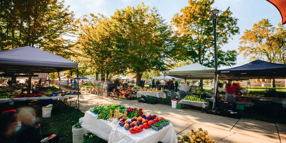 Marco Island Winter Farmers Market 2026 Event Date, Location, Fresh Produce, and Local Crafts (1)