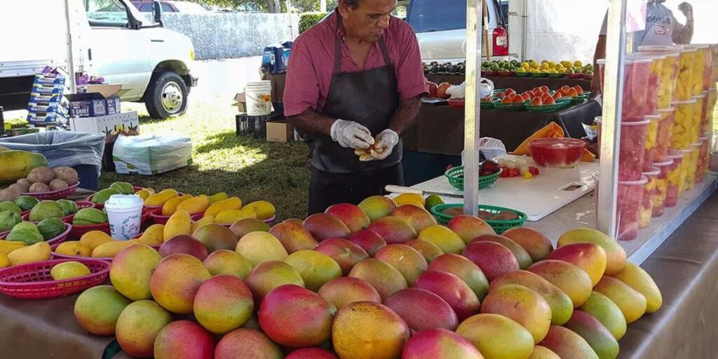 Marco Island Winter Farmers Market 2026 Event Date, Location, Fresh Produce, and Local Crafts