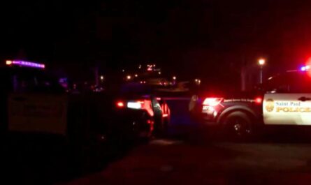 Minnesota Teen Sentenced to 25½ Years for Fatal Stabbing of 19-Year-Old, Court Hears Evidence