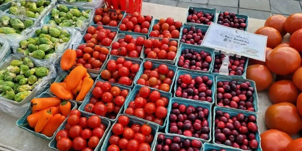 Montclair Village Farmers’ Market 2026 Event Date, Location, Fresh Produce, and Local Finds (1)