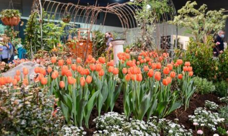 Northwest Flower and Garden Festival 2026 Event Dates, Location, Garden Displays and Highlights (1)