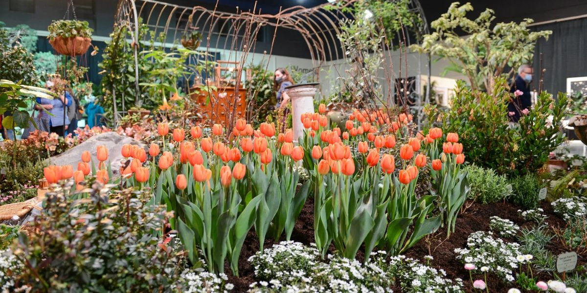 Northwest Flower and Garden Festival 2026 Event Dates, Location, Garden Displays and Highlights (1)