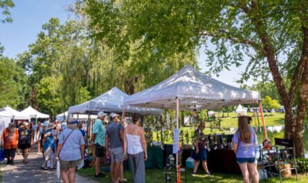 Palm Springs Winter Art Festival 2026 Dates, Location, Artists, Exhibits, and Family Activities (1)