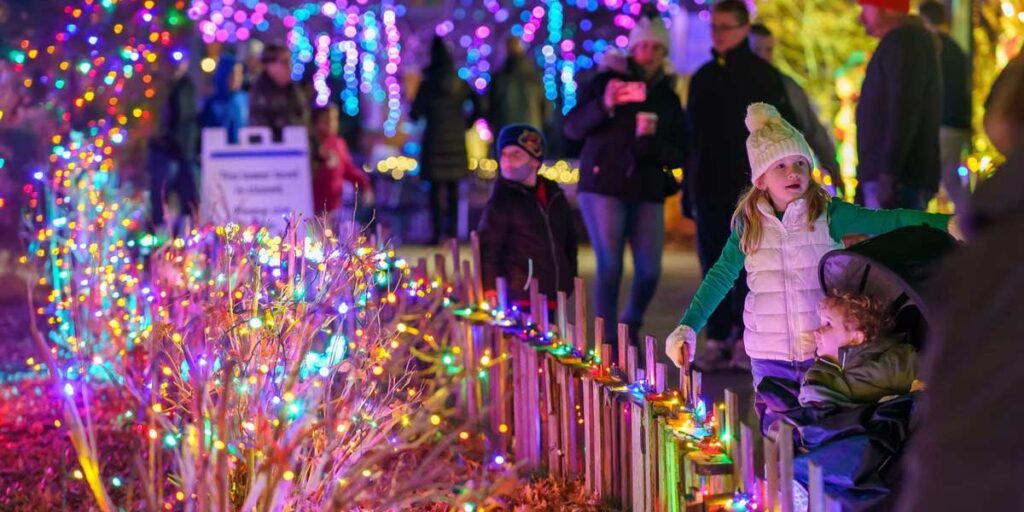 Saint Louis Winter Market 2026 Event Date, Missouri Venue, Local Artisans and Community Fun (1)