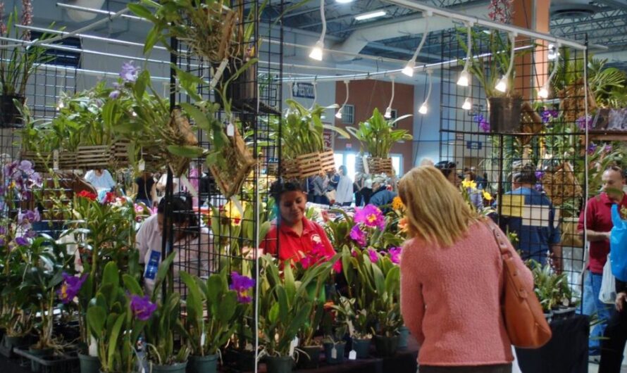 Tamiami International Orchid Festival 2026: Complete Guide to Dates, Exhibits, and Activities