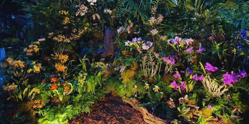 Tamiami International Orchid Festival 2026 Complete Guide to Dates, Exhibits, and Activities