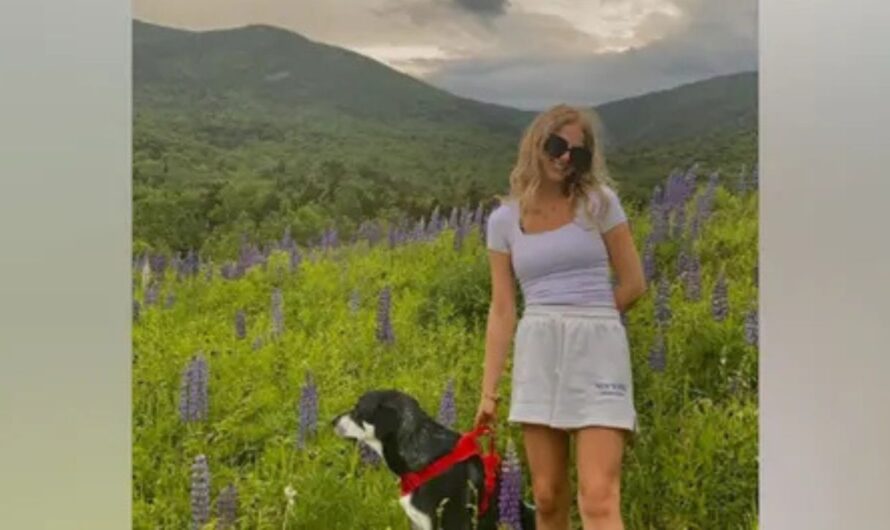 21-Year-Old Hiker Dies of Hypothermia Near Summit of Mount Marcy in Adirondacks