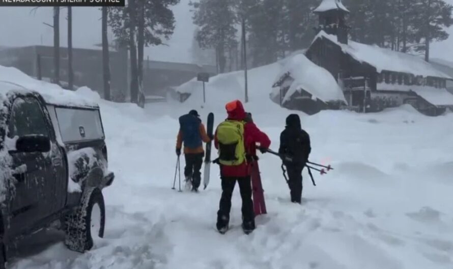 8 Skiers Dead, 1 Still Missing After Avalanche Near Lake Tahoe