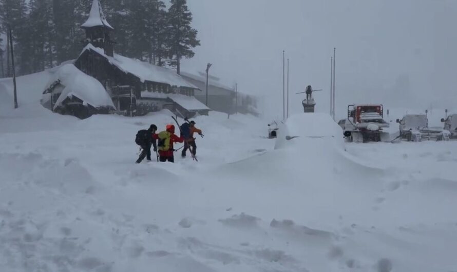 Avalanche Strikes Sierra Nevada, 9 Skiers Missing as Blizzard Hampers Rescue Efforts